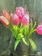 XHS_17067094334601040g2sg30uftqb81lg005o26sjjg866