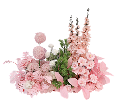 雨落の花香采集到【勉抠】---png花