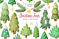 Christmas trees clipart : Christmas clip art collection. Perfect for creating christmas postcards, invitations, mugs and much more. Images sizes are about 1500x3500px 300dpi --- You will get: -20 images PNG (with