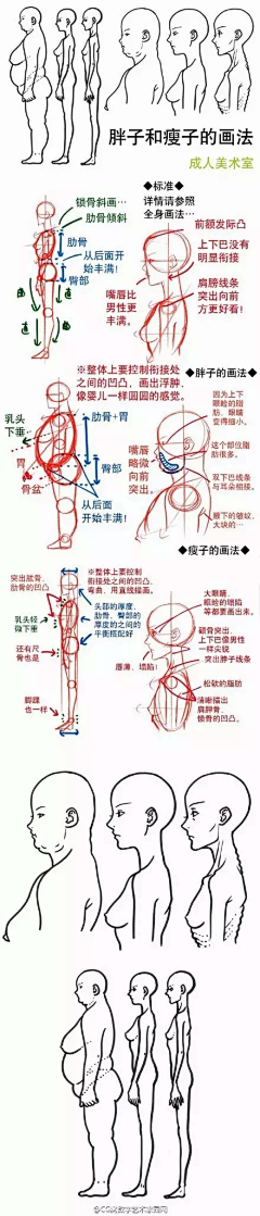 公子雅采集到人体结构