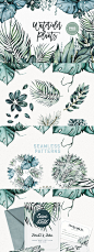 水彩植物插图 Watercolor Plants