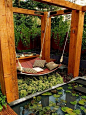 Outdoor swing, which could probably go over your natural pool :)