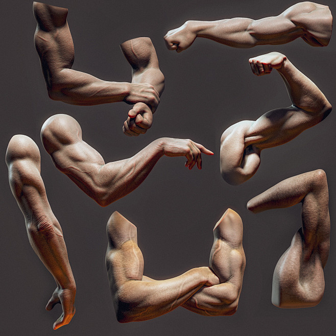 Male Arm sculpts