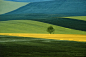 Franco Fontana | 作品集：摄影不应再现可见