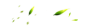 透明绿色叶子.png (1920×600)