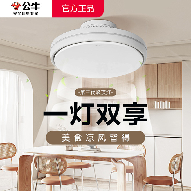 风扇灯-39