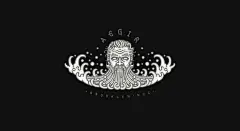 AEGIR 人物 头像 海洋 海水国外LOGO标志图标字体图形创意设计参考