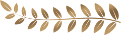 Miu木采集到Icon/PNG