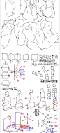 #描き方 躯干 - wumingxuan520的插画