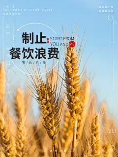 制作餐饮浪费蓝黄创意节约粮食海报