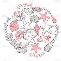 矢量手画圆形组成与贝壳和海星。矢量插图.
