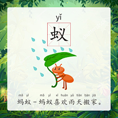 风中没有爱采集到语文