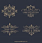 Elegant Logo Design Templates