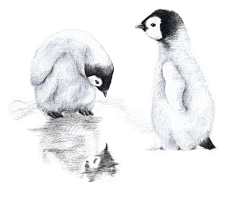 oO漫舞樱璇Oo采集到Color Pencil Tutorials