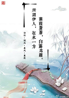 67有恒心采集到风景*植物盆栽