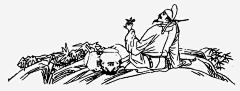 斑鸠626采集到国风元素