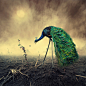 Surreal Photo Manipulations by Caras Ionut surreal digital conceptual 