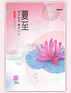 二十四节气夏至莲花粉色渐变3d海报