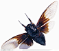 昆虫世界-展翅的褐色甲虫