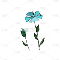 矢量亚麻花卉植物花。黑白雕刻水墨艺术。隔离亚麻插画元件.