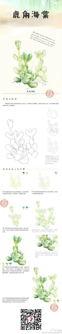 若水*英采集到学习画