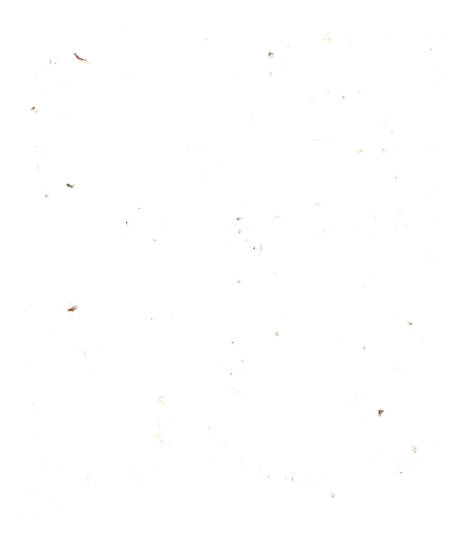 插画 肌理 背景纹理  PNG素材