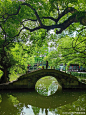 古风场景 小桥拱桥 湖面 树荫 绿色  