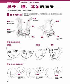 小兔丽-YwY采集到绘画基础——鼻子、嘴巴、耳朵