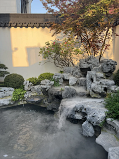 林夏三度采集到现代风格花园