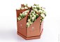 Coco Fiori “Share Collection”