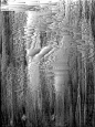 (206) Pinterest