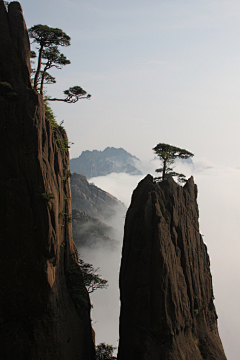 BronzeAge采集到山水