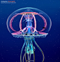 Subnautica: Below Zero - Ventgarden, Alex Ries : The process of designing the 'Ventgarden': a mobile colonial organism with an internal biosphere, powered largely by the heat and dissolved minerals from thermal vents.
