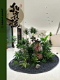 _8_孔雀派Pavo florist_来自小红书网页版