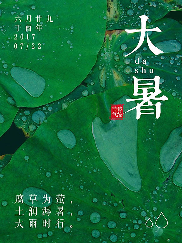 荷叶大暑节气海报