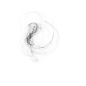 烟雾11