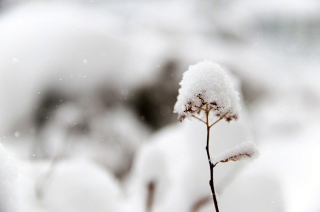 早安，少雪的冬天。 ​​​​