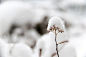 早安，少雪的冬天。 ​​​​