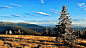 General 3840x2160 mountains forest snow rocks