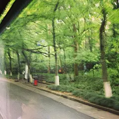 12路周末要绕个大弯才到学校门口，这真是完美的安排，这样我可以一路看饱沿途（西湖，长桥，净慈寺，太子湾，虎跑，动物园…）的风景再回去。特别是在这春光融融的时节,liemeanmean