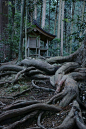 Okuni shrine, Shizuoka, Japan 小國神社