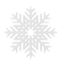 Snowflake  3D Icon