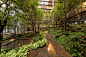 Raymond Jungles reshapes the garden at the Ford Foundation overhaul