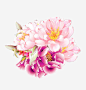 风牡丹素材_新图网 https://ixintu.com 国花 唯美png 免扣 透明 古风牡丹 背景 透明背景