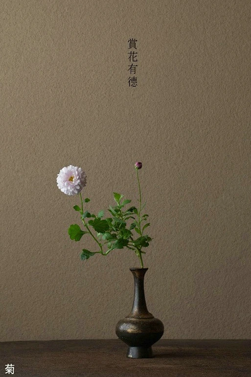 日本当红花艺大师川濑敏郎（Kawase Toshiro)作品-花瓣网