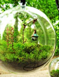 Glass birdhouse garden