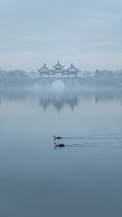 檀越采集到摄影风景