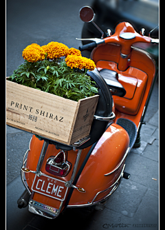 安然若橘_orange采集到我爱Vespa