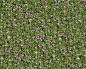 Flowery meadow texture seamless 12945