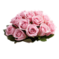 rose (9)